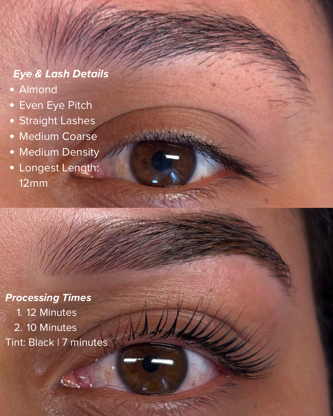 1 Day Intro to Korean Lash Lifts