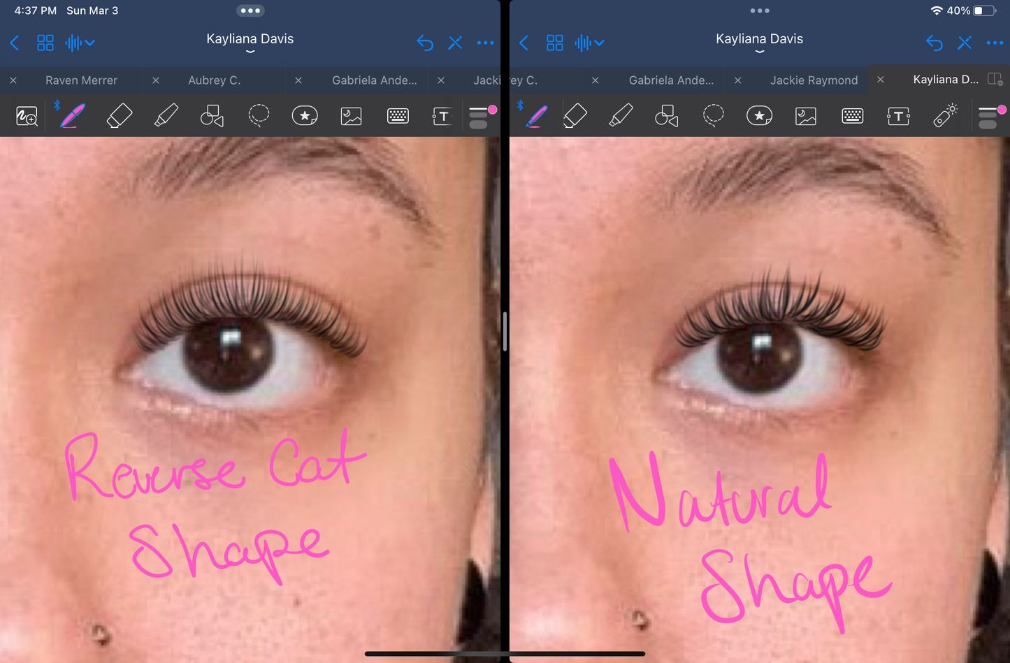 Lash Map Notebook