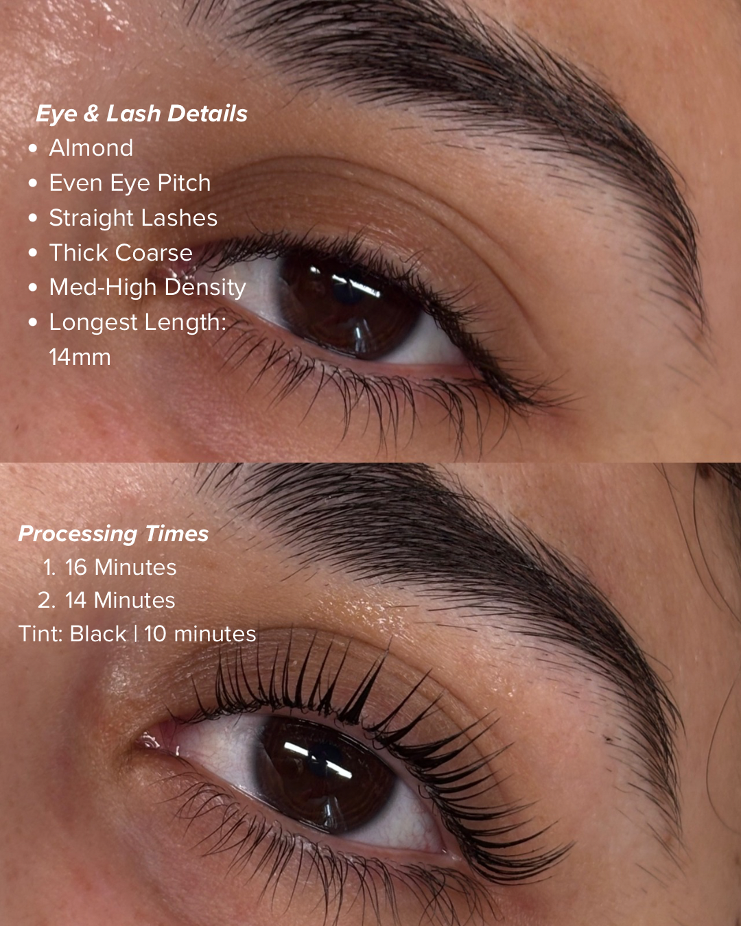 1 Day Intro to Korean Lash Lifts