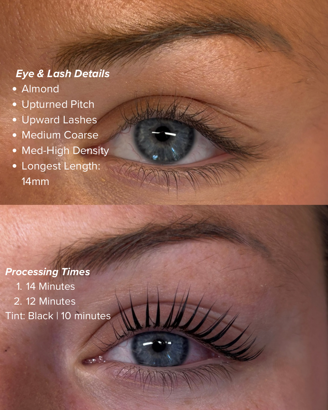 1 Day Intro to Korean Lash Lifts